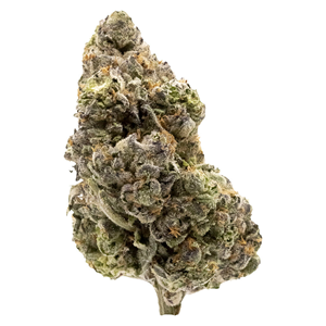 FIGR - Midnight Sherb - Dried Flower - Sativa - 3.5g