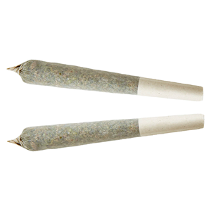 XPLOR - Sativa Pre-roll - 2x1g